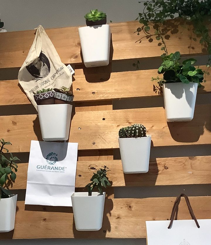 Des plantes et des cactus dans des pots blancs, sur un mur en bois de palette, à côté de deux sacs de marques.